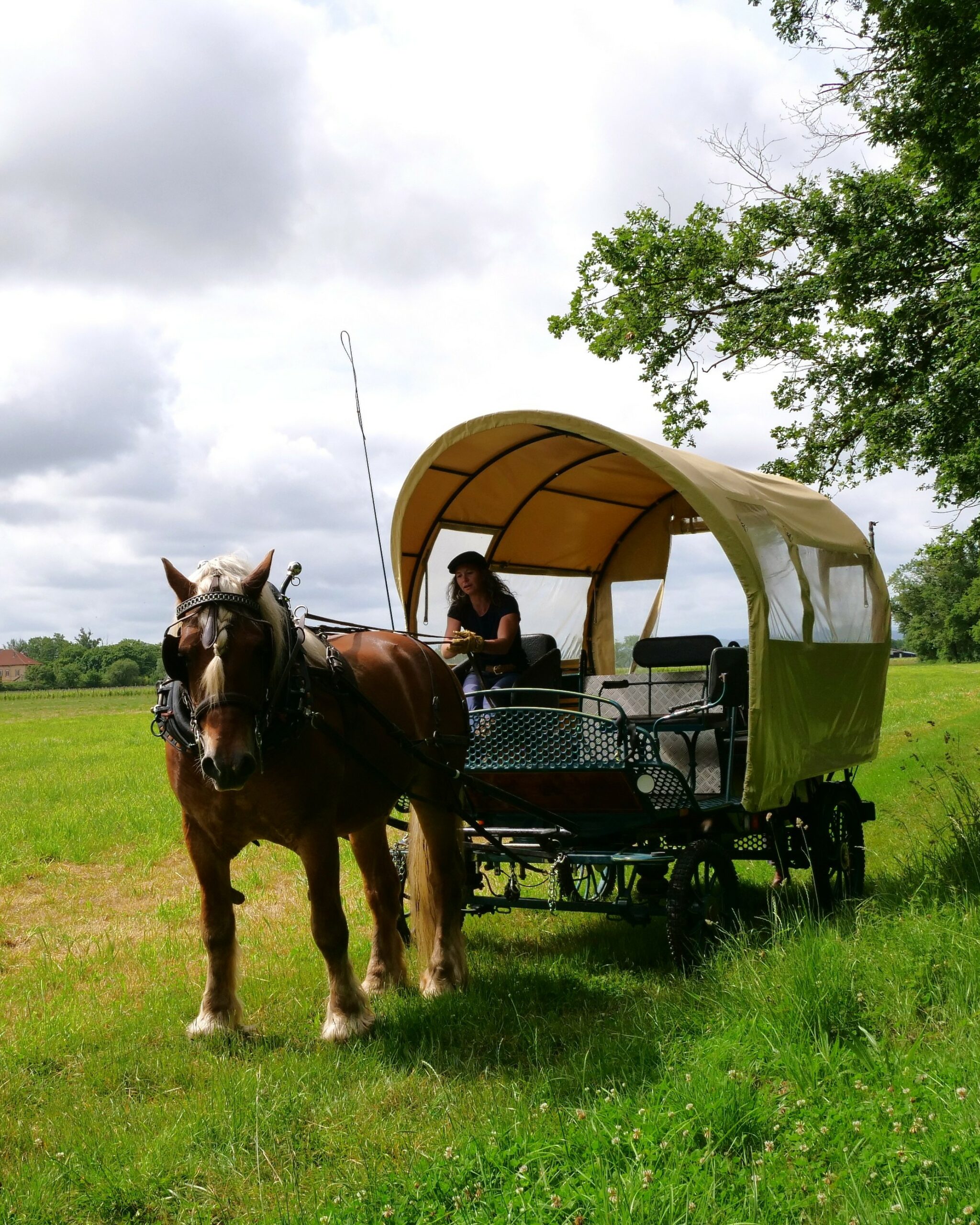 Visite en calèche au domaine de Cadeillac