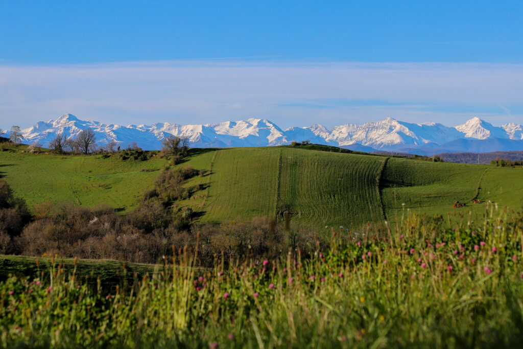 Vue pyrénées depuis le Volvestre près de Toulouse panorama