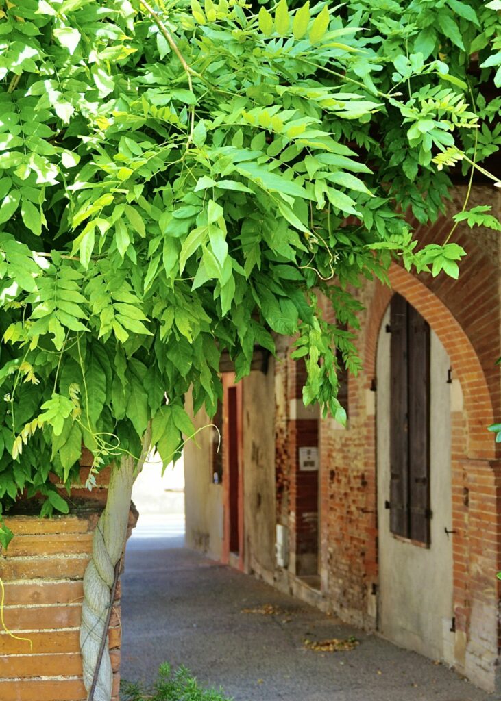 Saint sulpice sur lèze près de toulouse idée patrimoine sortie